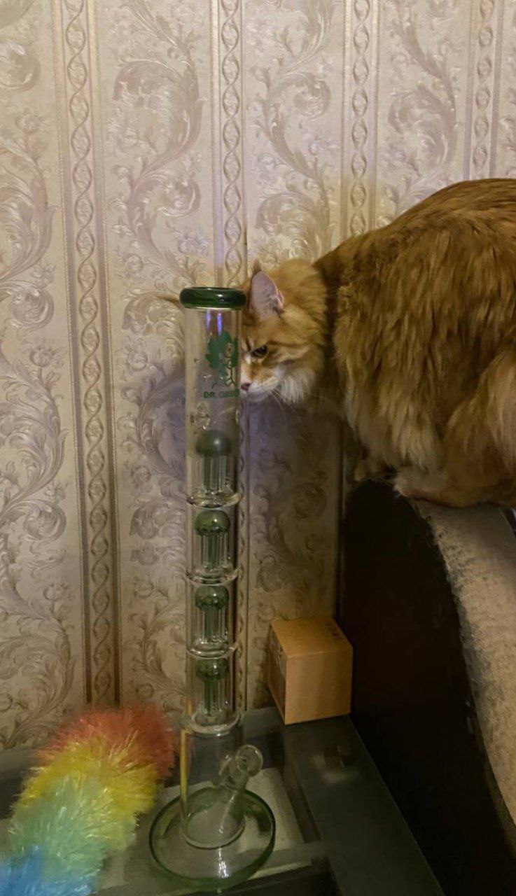 фото для отзыва